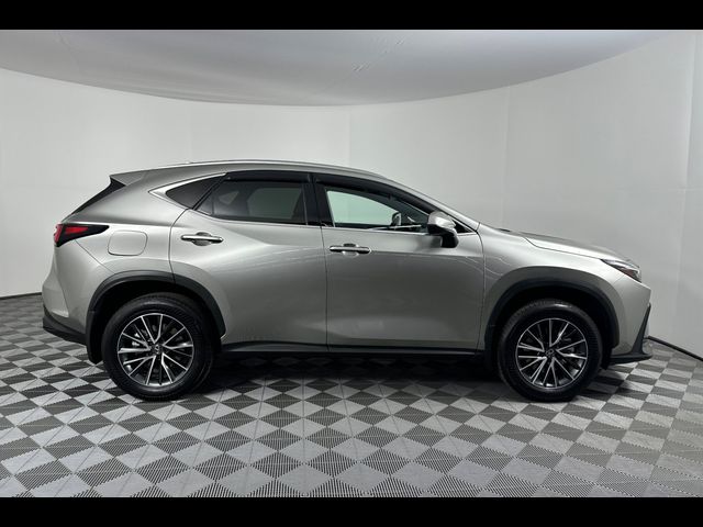 2024 Lexus NX 450h+ Luxury