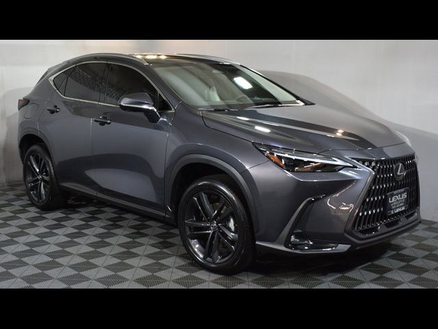 2024 Lexus NX 450h+ Luxury