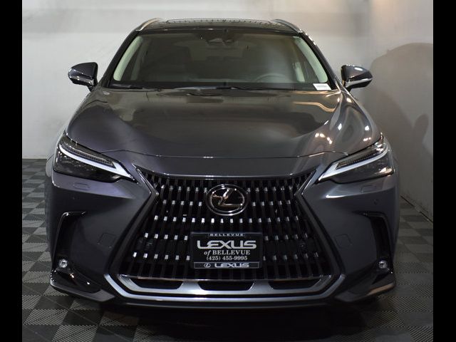 2024 Lexus NX 450h+ Luxury