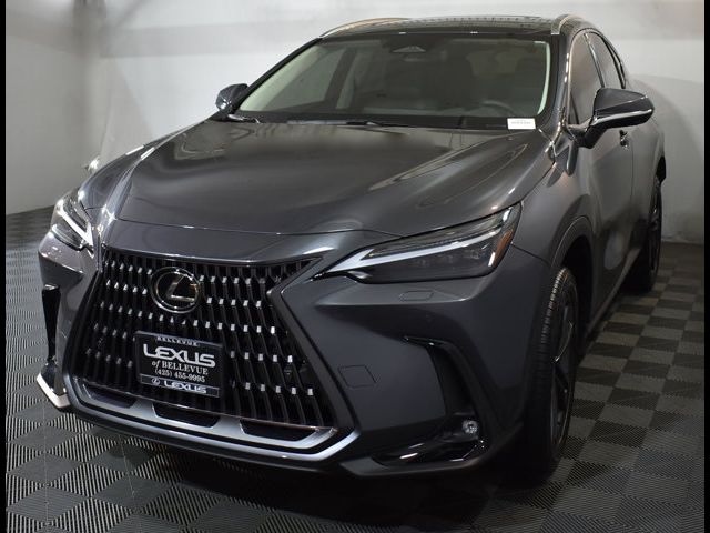 2024 Lexus NX 450h+ Luxury