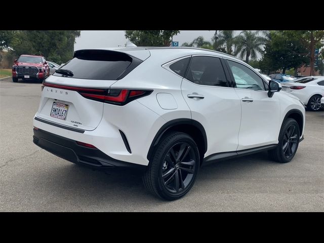 2024 Lexus NX 450h+ Luxury