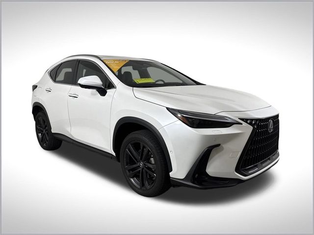 2024 Lexus NX 450h+ Luxury