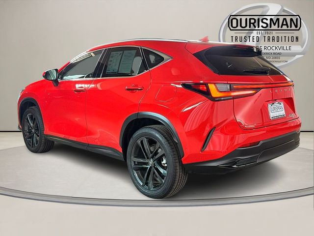 2024 Lexus NX 450h+ Luxury