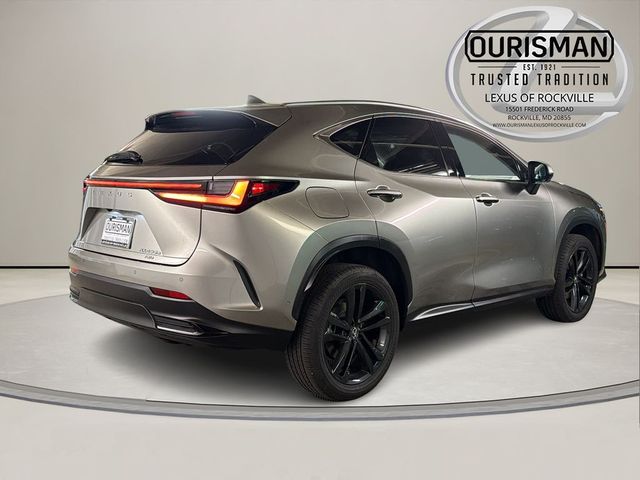 2024 Lexus NX 450h+ Luxury