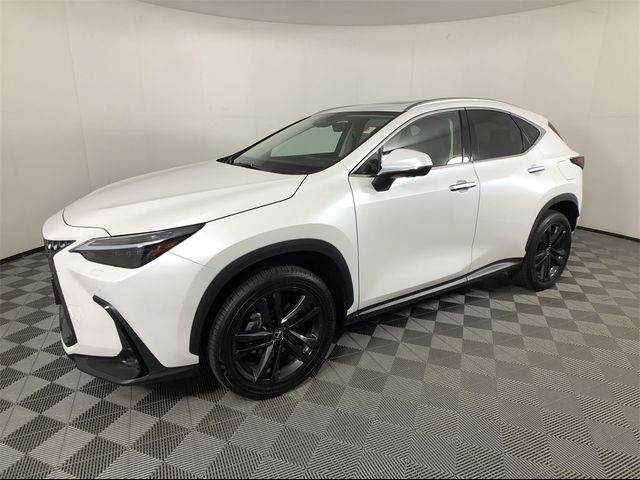 2024 Lexus NX 450h+ Luxury