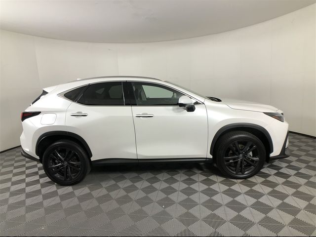 2024 Lexus NX 450h+ Luxury