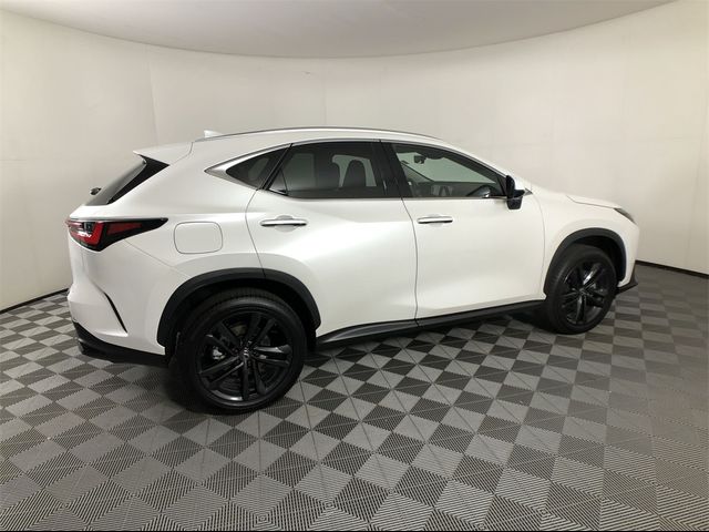 2024 Lexus NX 450h+ Luxury