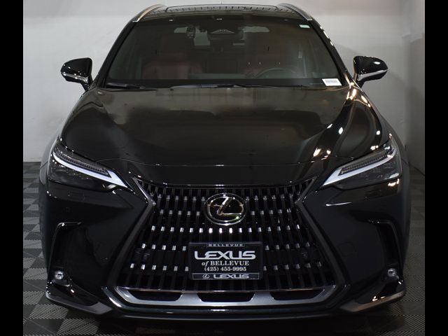 2024 Lexus NX 450h+ Luxury