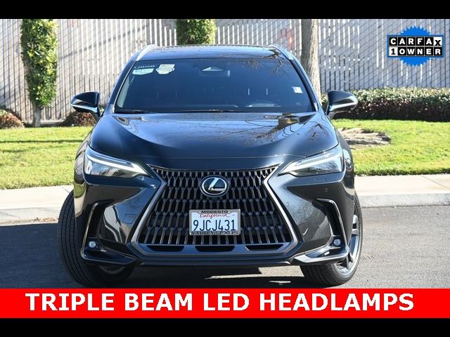 2024 Lexus NX 450h+ Luxury