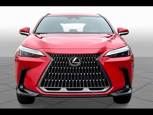 2024 Lexus NX 250