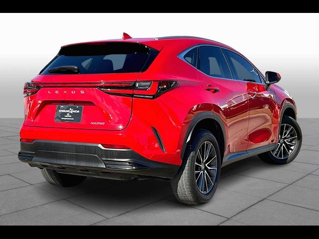 2024 Lexus NX 250