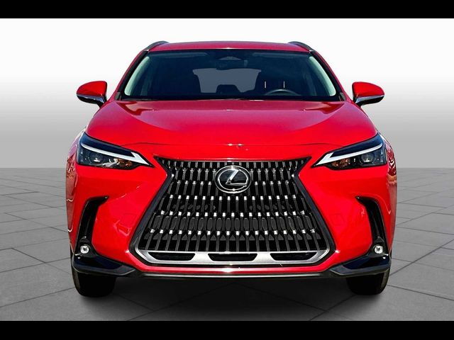 2024 Lexus NX 250