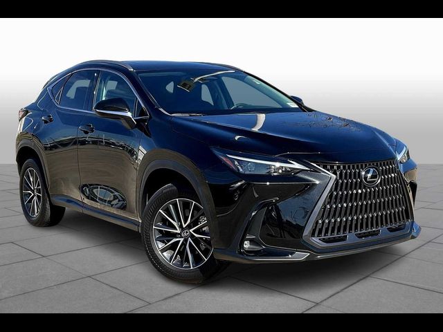 2024 Lexus NX 250