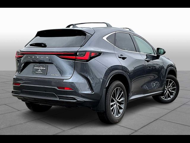 2024 Lexus NX 250