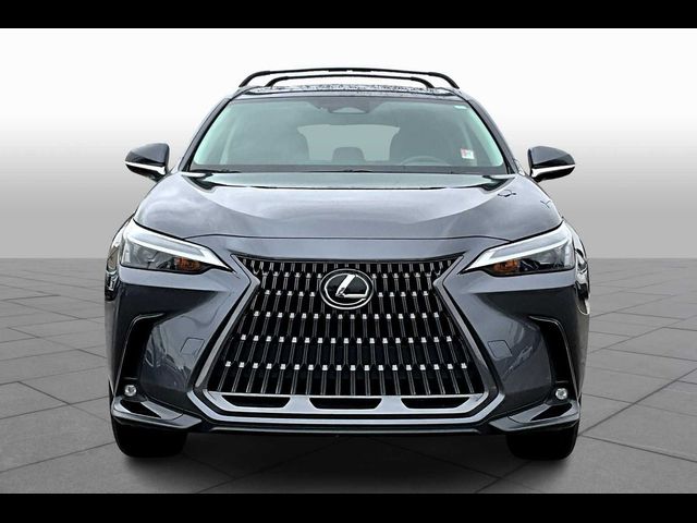 2024 Lexus NX 250