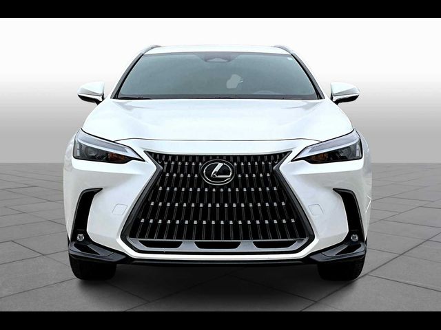 2024 Lexus NX 250