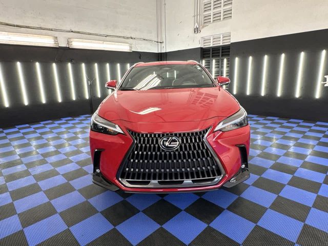 2024 Lexus NX 250