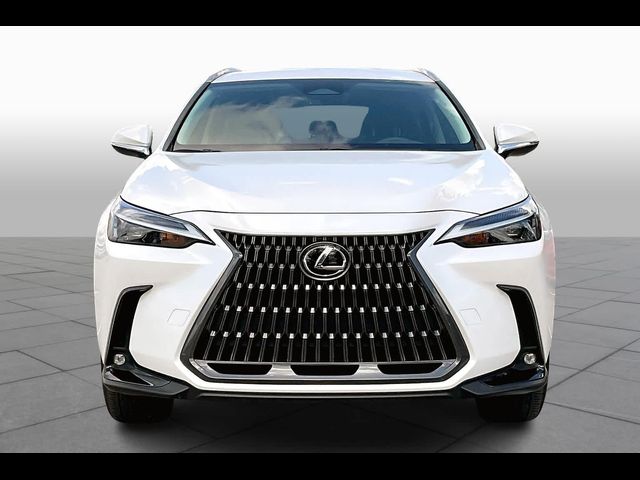 2024 Lexus NX 250