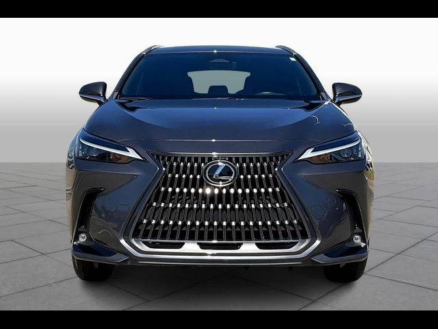 2024 Lexus NX 250