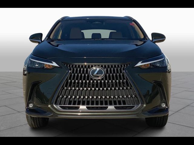 2024 Lexus NX 250