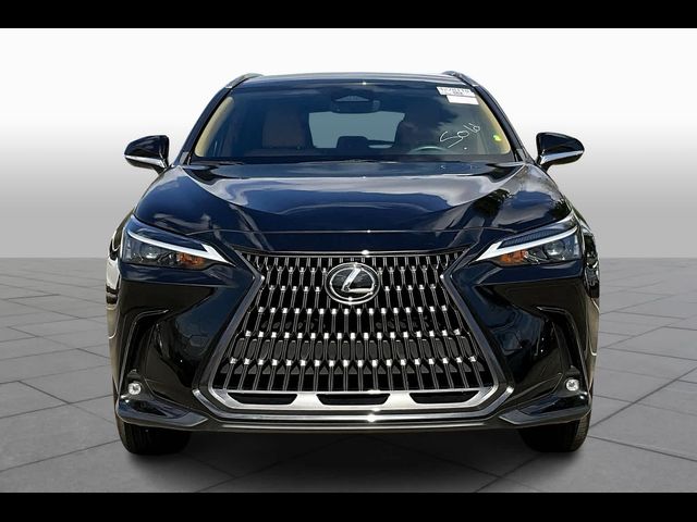 2024 Lexus NX 250