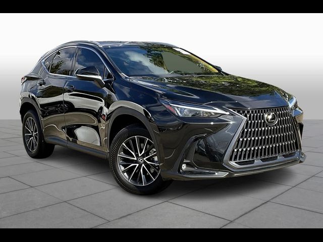 2024 Lexus NX 250