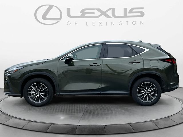 2024 Lexus NX 250