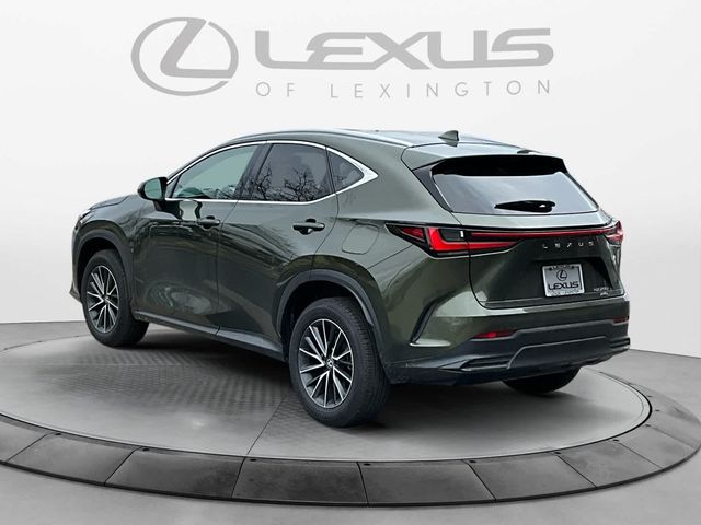 2024 Lexus NX 250