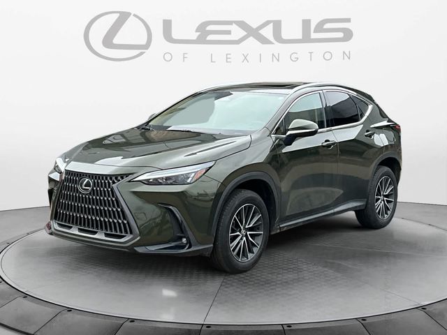 2024 Lexus NX 250