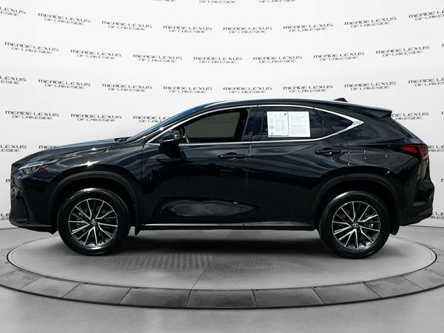 2024 Lexus NX 350