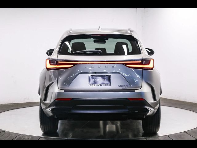 2024 Lexus NX 350