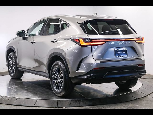 2024 Lexus NX 350