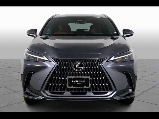 2024 Lexus NX 350