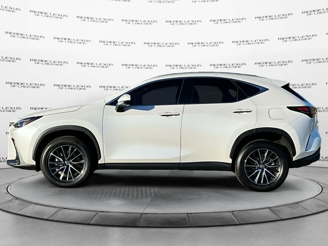 2024 Lexus NX 350