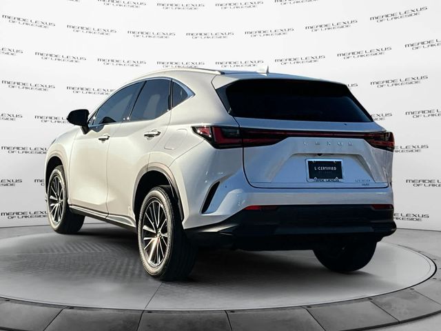 2024 Lexus NX 350