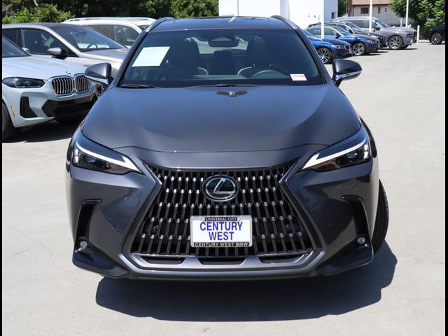 2024 Lexus NX 350 Premium