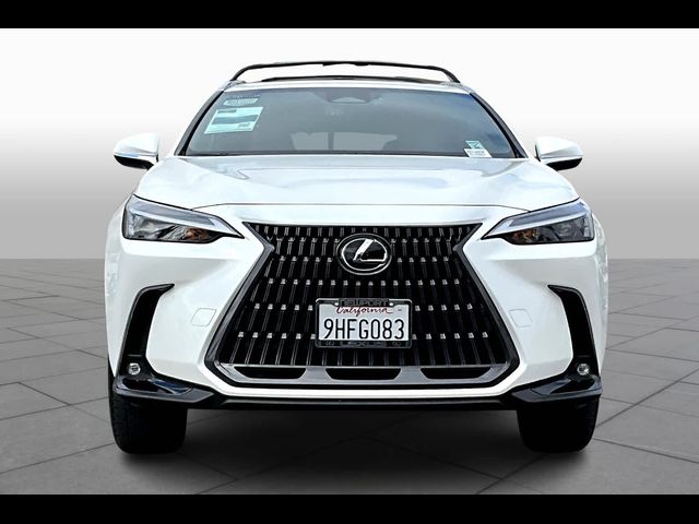 2024 Lexus NX 250