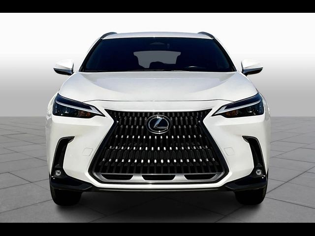 2024 Lexus NX 250