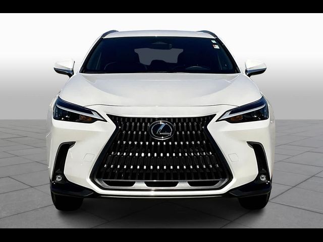 2024 Lexus NX 250