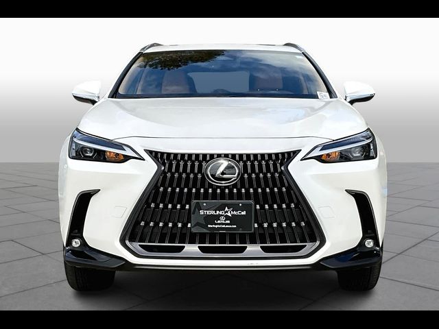 2024 Lexus NX 250