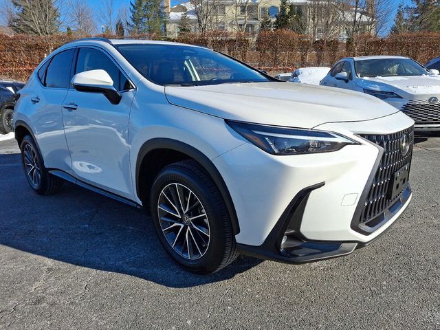 2024 Lexus NX 250