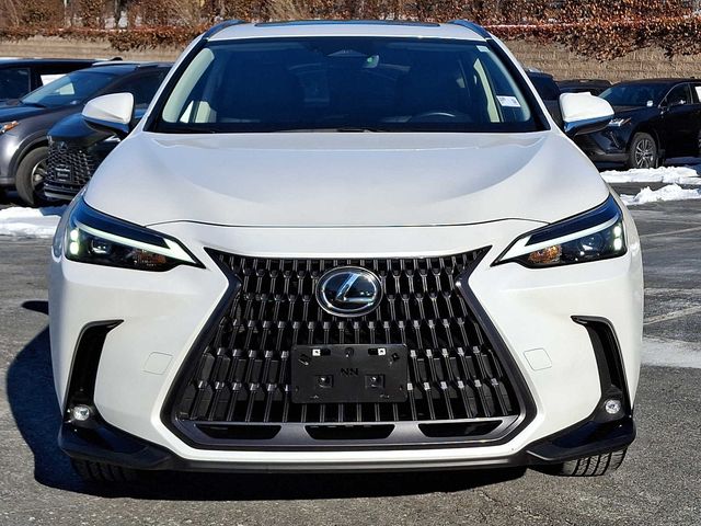 2024 Lexus NX 250