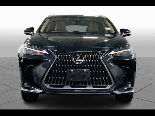 2024 Lexus NX 350