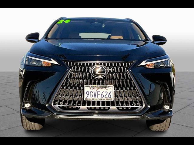 2024 Lexus NX 350