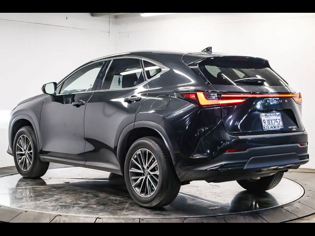 2024 Lexus NX 350