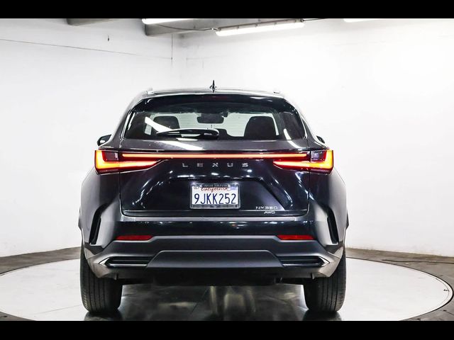 2024 Lexus NX 350