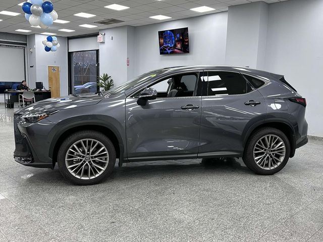 2024 Lexus NX 350h Luxury