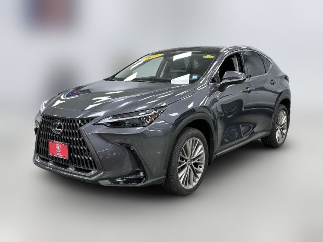 2024 Lexus NX 350h Luxury