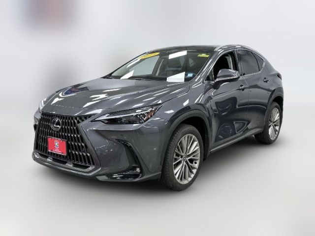 2024 Lexus NX 350h Luxury