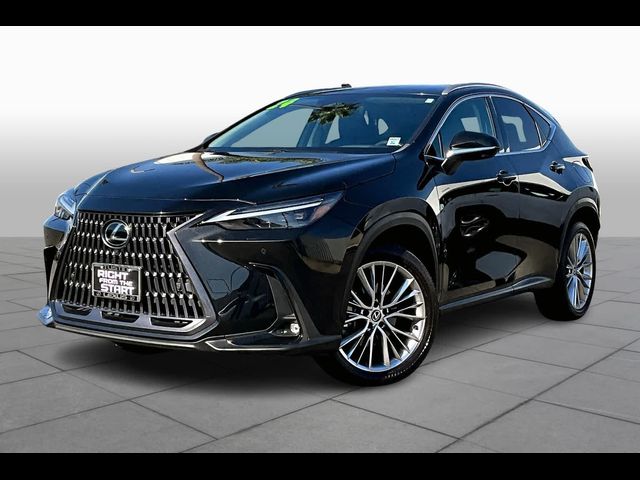 2024 Lexus NX 350 Luxury